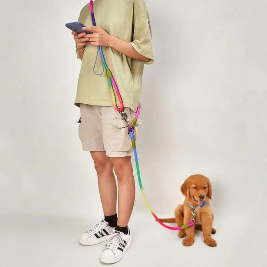 GlowGuide Reflective Nylon Dog Leash - MANDOTOS
