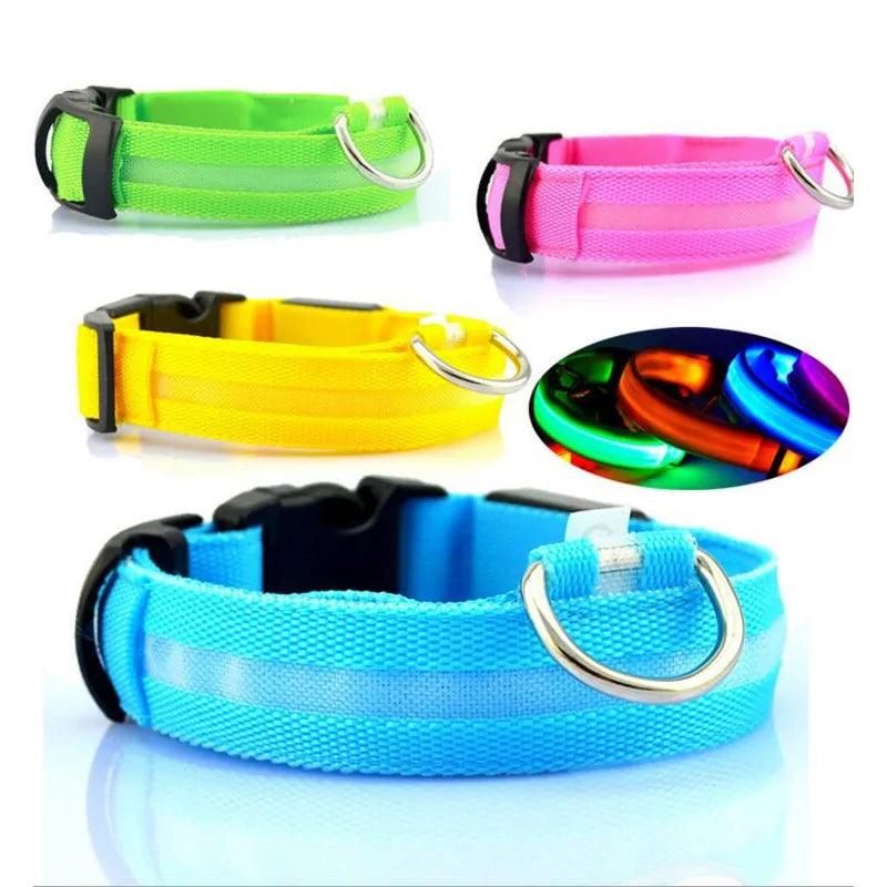 Glowing Night Safety Pet Collar - MANDOTOS