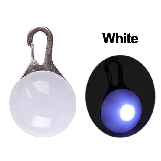 Glowing Night Safety Pet Collar - MANDOTOS