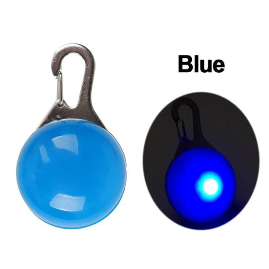 Glowing Night Safety Pet Collar - MANDOTOS