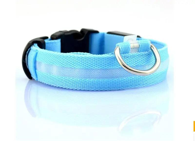 Glowing Night Safety Pet Collar - MANDOTOS