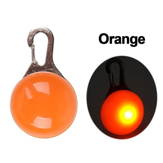 Glowing Night Safety Pet Collar - MANDOTOS