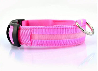 Glowing Night Safety Pet Collar - MANDOTOS