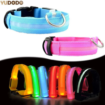 Glowing Night Safety Pet Collar - MANDOTOS