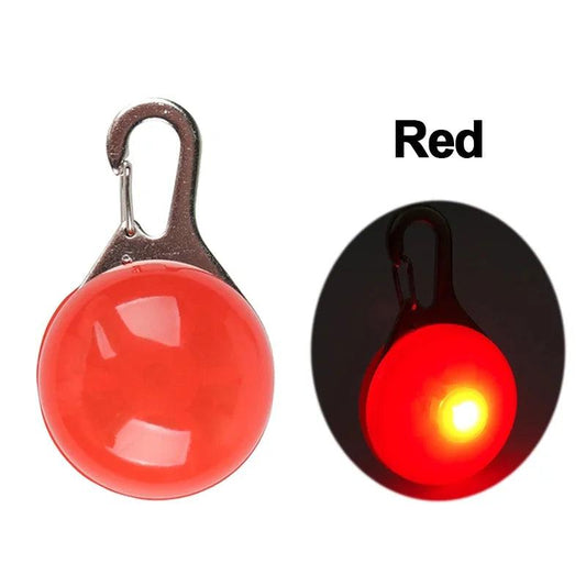 Glowing Night Safety Pet Collar - MANDOTOS