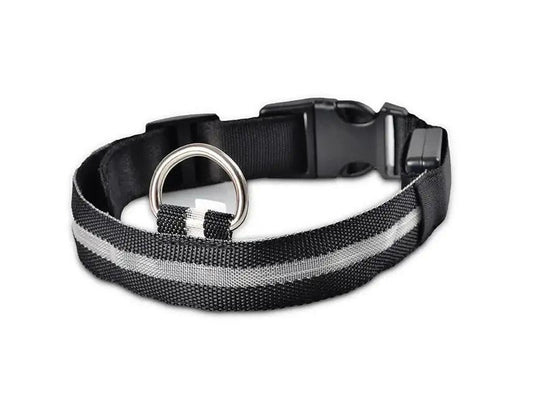 Glowing Night Safety Pet Collar - MANDOTOS