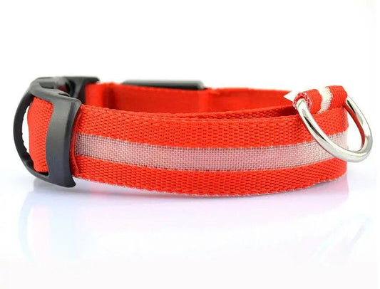 Glowing Night Safety Pet Collar - MANDOTOS
