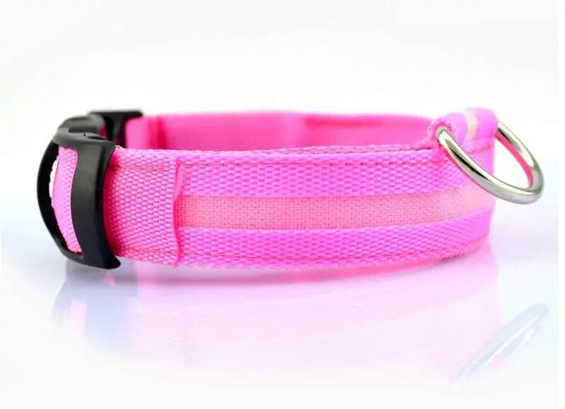 Glowing Night Safety Pet Collar - MANDOTOS