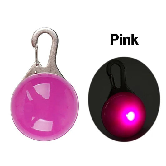 Glowing Night Safety Pet Collar - MANDOTOS