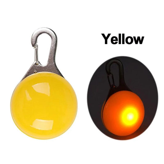 Glowing Night Safety Pet Collar - MANDOTOS
