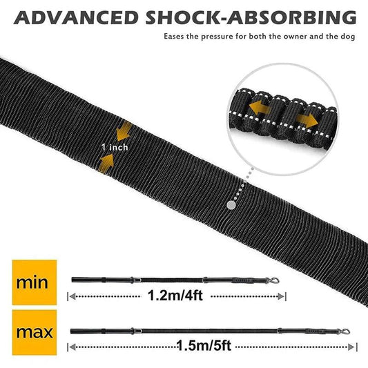 Glowing Nighttime Dog Leash - MANDOTOS