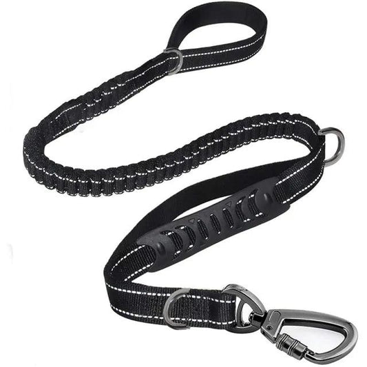 Glowing Nighttime Dog Leash - MANDOTOS