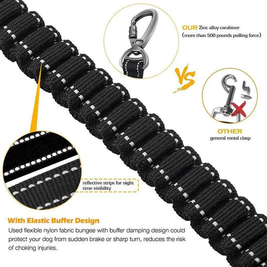 Glowing Nighttime Dog Leash - MANDOTOS