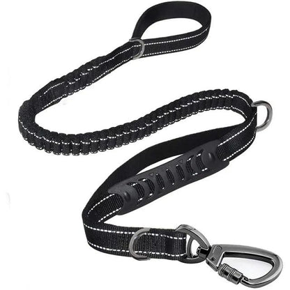 Glowing Nighttime Dog Leash - MANDOTOS