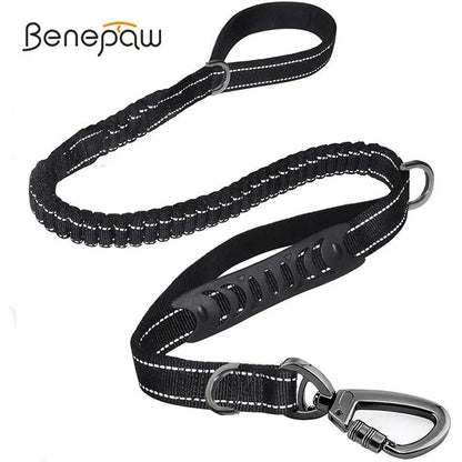 Glowing Nighttime Dog Leash - MANDOTOS