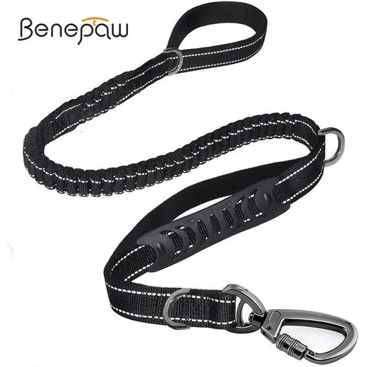Glowing Nighttime Dog Leash - MANDOTOS
