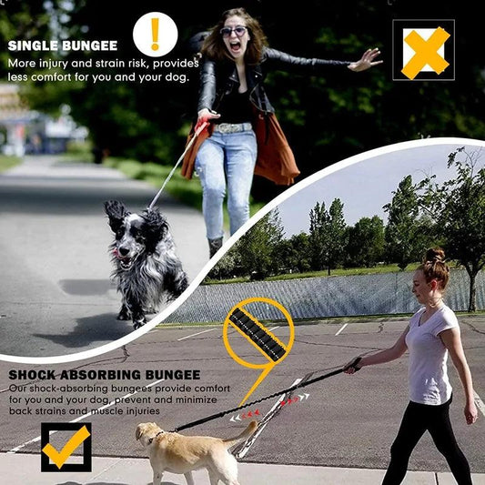 Glowing Nighttime Dog Leash - MANDOTOS