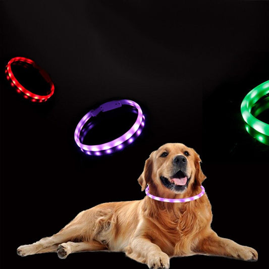 GlowSafe Dog Collar - MANDOTOS