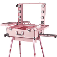 High Quality Makeup Travel Rolling Carry case Cosmetic Beauty Trolley Suitcase with Lights - MANDOTOS INTERNATIONAL