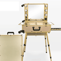 High Quality Makeup Travel Rolling Carry case Cosmetic Beauty Trolley Suitcase with Lights - MANDOTOS INTERNATIONAL