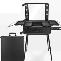 High Quality Makeup Travel Rolling Carry case Cosmetic Beauty Trolley Suitcase with Lights - MANDOTOS INTERNATIONAL