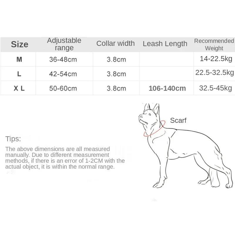 Rugged Canine Control Collar Set - MANDOTOS