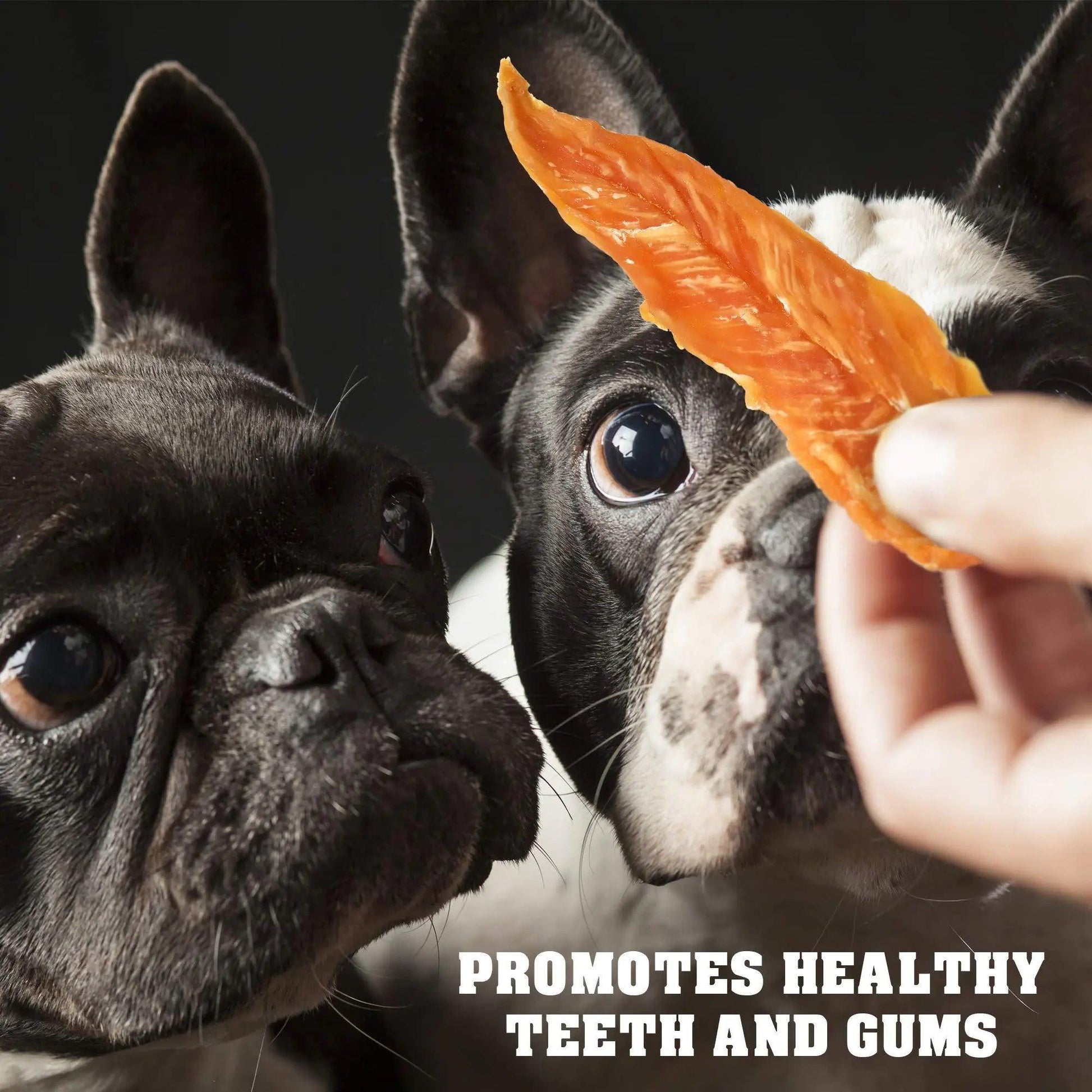 Human-Grade Chicken Jerky for Dogs - 1.5 lb Organic Treats - MANDOTOS
