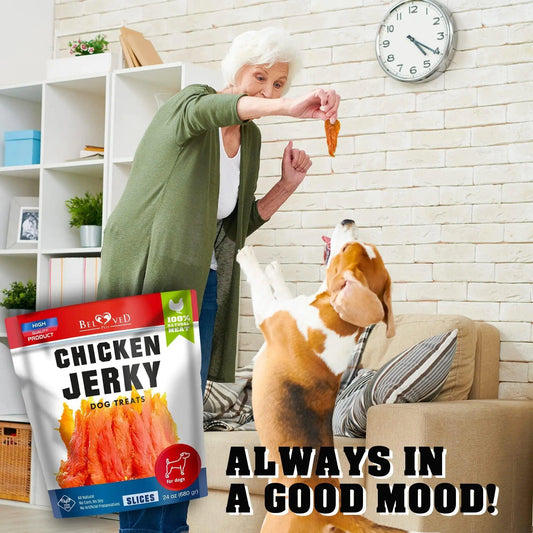 Human-Grade Chicken Jerky for Dogs - 1.5 lb Organic Treats - MANDOTOS