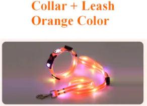 IllumiPup Safety Leash - MANDOTOS