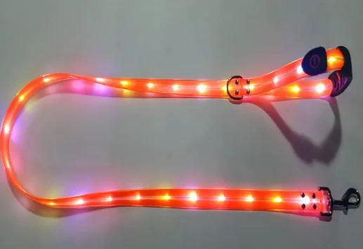 IllumiPup Safety Leash - MANDOTOS