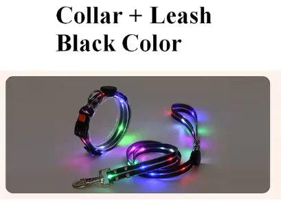 IllumiPup Safety Leash - MANDOTOS