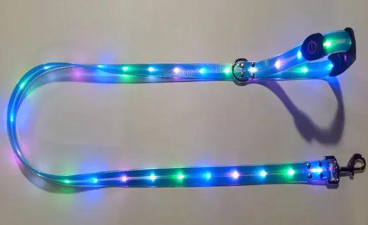 IllumiPup Safety Leash - MANDOTOS