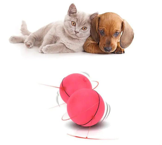 Laser LED Catnip Fun Ball - MANDOTOS