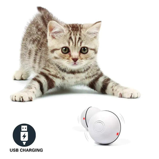 Laser LED Catnip Fun Ball - MANDOTOS