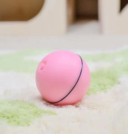 Laser LED Catnip Fun Ball - MANDOTOS