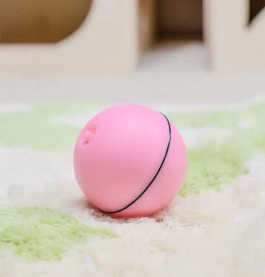 Laser LED Catnip Fun Ball - MANDOTOS