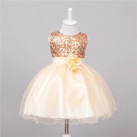 Baby Sequin Dress Flower Girl Wedding Princess Dress MANDOTOS