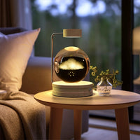 Crystal Ball Cosmic Dinosaur Indoor Night Light USB Power Warm Bedside Light Birthday Gift Night Lamp MANDOTOS