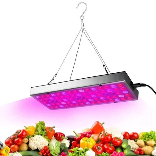 Mandotos LED plant supplement light for growing seedlings in greenhouses, providing optimal light for healthy plant growth.