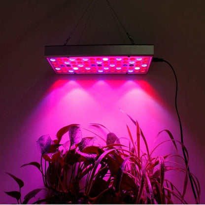 LED Plant Supplement Light For Growing Seedlings In Greenhouses Mandotos