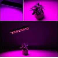 Mandotos LED plant supplement light for growing seedlings in greenhouses, providing optimal light for healthy plant growth.