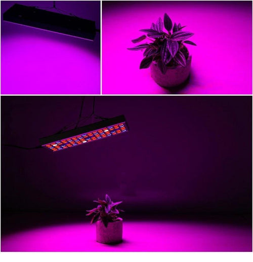 Mandotos LED plant supplement light for growing seedlings in greenhouses, providing optimal light for healthy plant growth.