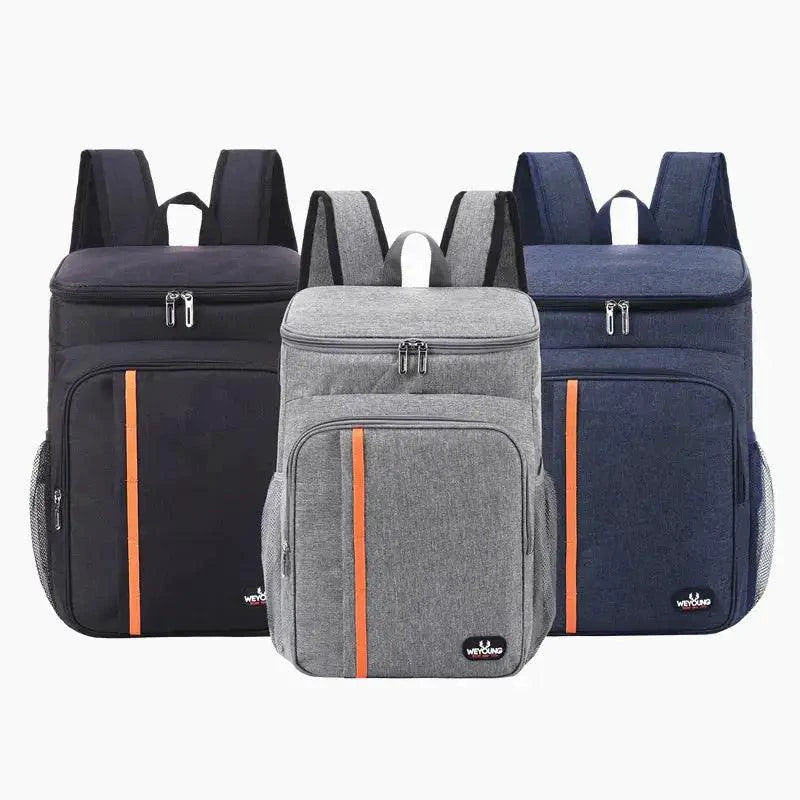 Mandotos compact thermal meal carrier showing insulated exterior and multiple compartments for hot and cold food storage.