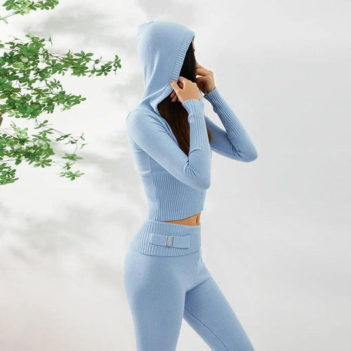 Hoodie Suit Women Leisure Sexy Zip Long Sleeve Sweater And High Waist Long Pants Set - MANDOTOS