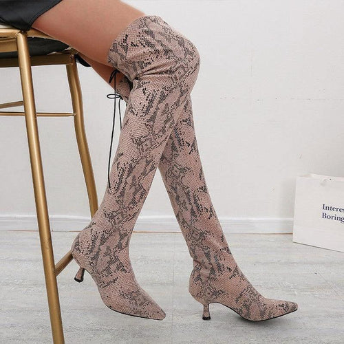 Pointed Over The Knee High Top Fashion Boots - MANDOTOS