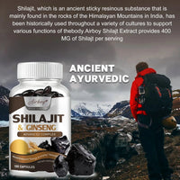 Shilajit & Ginseng Supplement - Provides Energy and Endurance, Enhances Brain & Memory, Immune Support - 120 Capsules MANDOTOS