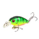 Bait - 2