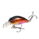 Bait - 1