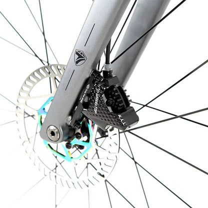 TWITTER 700X25C Carbon Road Bicycle Wireless Men's Hydraulic Disc Racing Bike With WheelTop EDS TX 24S Shifter 50mm Carbon Wheel MANDOTOS