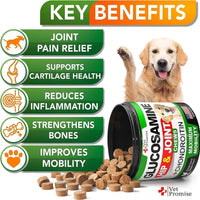 Mobility Max Dog Hip & Joint Care Dual Pack - MANDOTOS